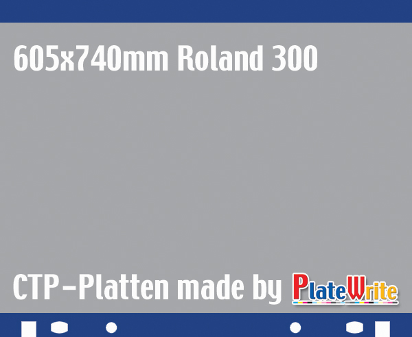605x740 Roland 300